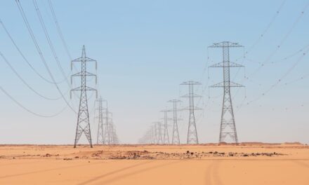 La suspension du Projet d’Électrification dans le Nord et l’Est du Sénégal Laisse 1 600 Localités Sans Électricité. 