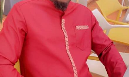 Les décisions unilatérales des députés : un manque de discipline politique