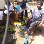 SENEGAL-ENVIRONNEMENT-COMMUNAUTES  Les Habitants de plusieurs  quartiers inondables de Thiès bénéficient d’une formation en technique de micro jardinage