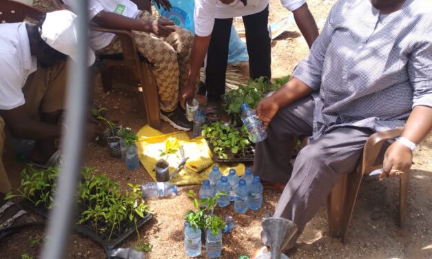 SENEGAL-ENVIRONNEMENT-COMMUNAUTES  Les Habitants de plusieurs  quartiers inondables de Thiès bénéficient d’une formation en technique de micro jardinage